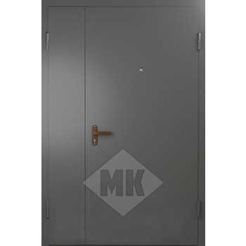 металлическая двустворчатая дверь, окрас нитроэмаль