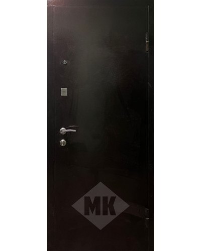квартирная дверь с антивандальным покрытием и зеркалом в туле